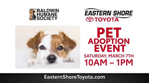 We want and need to continue hosting the mega adoption events, but they are costly. Join Us For Our 6th Pet Adoption Event At Eastern Shore ...