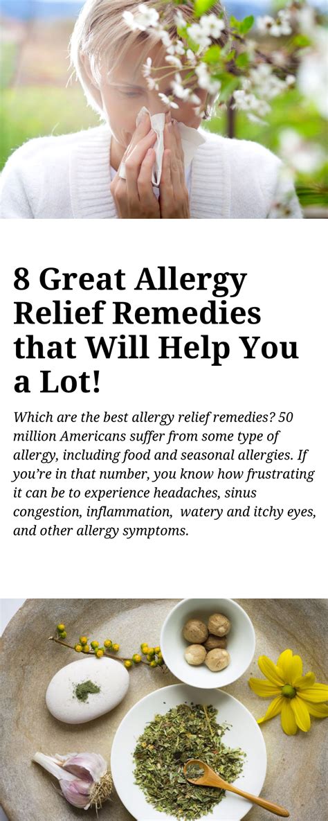 Which Are The Best Allergy Relief Remedies 50 Million Americans Suffer