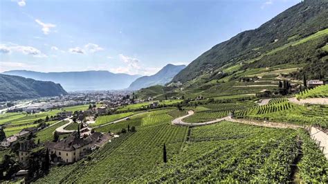 Explore Alto Adige Italys High Altitude Wine Region Youtube