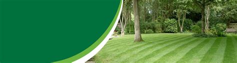 Welcome To Trugreen The Experts In Professional Lawn Care