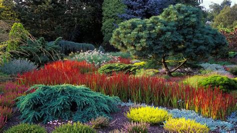 Landscaping With Ornamental Grasses Ab