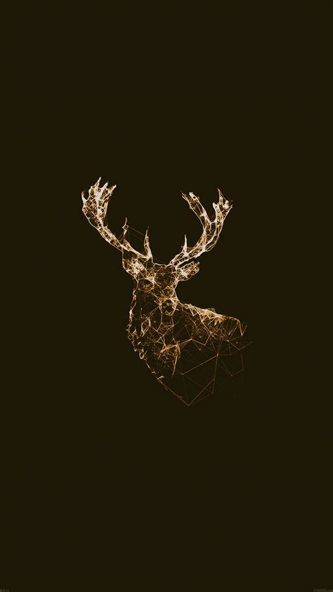 February 14, 2021may 28, 2019 by admin. Illustrated animal kingdom wallpapers for iPad and iPhone