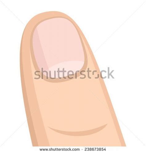 Finger Nail Clipart 20 Free Cliparts Download Images On Clipground 2023