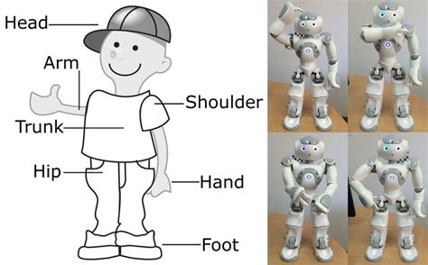 The Robot Shows The Human Body Parts Head Shoulder Hand Hip