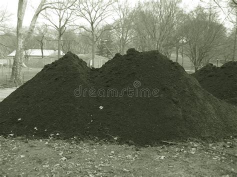649 Dirt Mounds Stock Photos Free And Royalty Free Stock Photos From