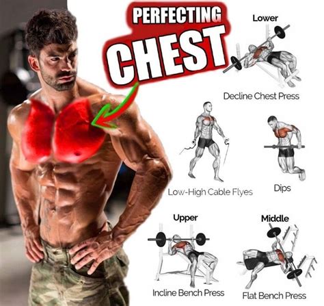 pectoral training program for chest mass benefits tips gym guide workout plan gym