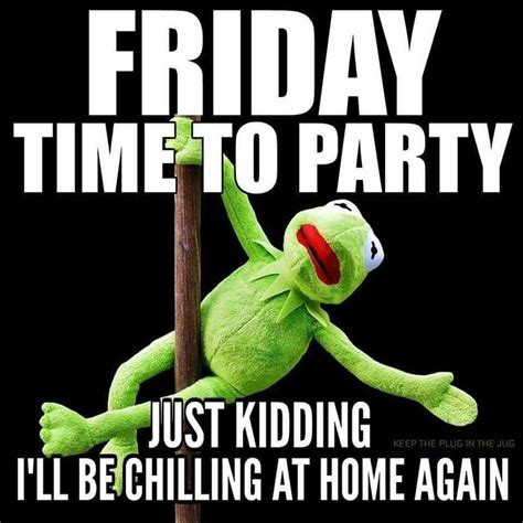 Photos funny friday quotes funny pictures funniest friday memes funniest twitter friday funniest memes its friday baby!!! Hope everyone is planning to chill at home too #theniftydecor | Funny friday memes, Its friday ...