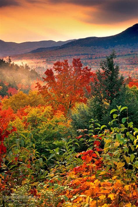 Fall Colors In The White Mountains Of New Hampshire Another Image