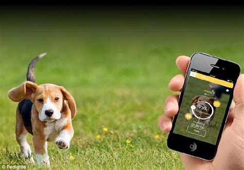 The best pets, the best prices stop getting scammed, get your dream pet see all pets in stock. My Fitness Pal...for dogs! Exercise and calorie-counting ...