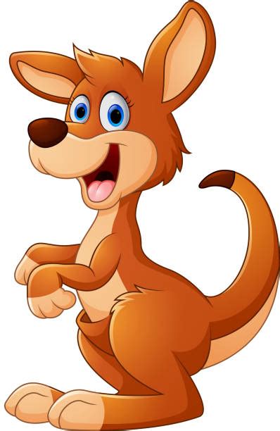 Royalty Free Wallaby Clip Art Vector Images And Illustrations Istock