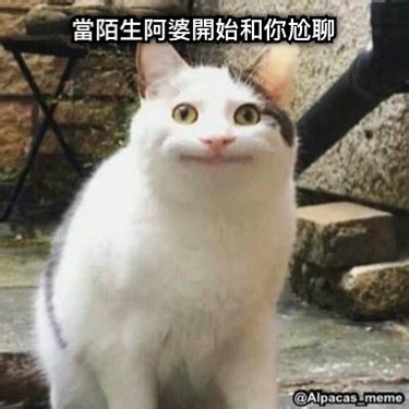 Explore tweets of h工口萝莉 @h15640963 on twitter. 20張超好笑【好笑】梗圖!快來看看網友們的搞笑創作!