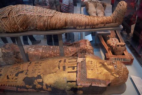 Mummies And Sarcophagus In British Museum In London Editorial Photo