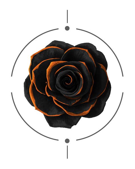 Our rose gold and black coupons, promos and discount codes. Black Rose - Black and Gold Rose - Death - Minimal Black and Gold Decor - Dark Mixed Media by ...