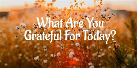 What Are You Grateful For Today The Joy Within