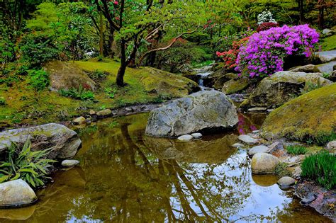 Free First Thursdays Return To Seattle Japanese Garden