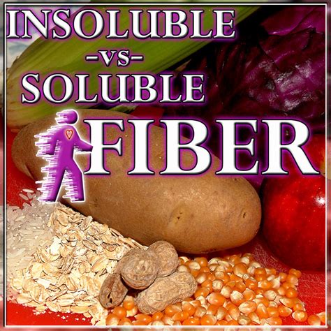 What Is Fiber And Why Is Fiber Important In Our Diet Hubpages