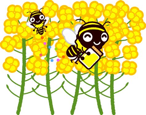 菜の花とミツバチのイラスト｜3月春｜3月｜季節｜かわいいフリー素材、素材のプチッチ