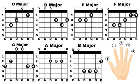 When you play the d major chord on guitar you strum 4 strings so some of those notes repeat. Major Guitar Chords | What is a Major chord? | NEPLYCH