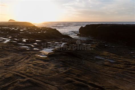 Muriwai Beach Stock Image Image Of Footsteps Ocean 63568713