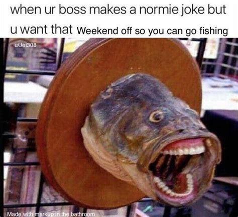 Fishing Memes