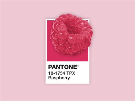 Pantone 18 1754 Tpx Raspberry Pantone Colour Palettes Pantone