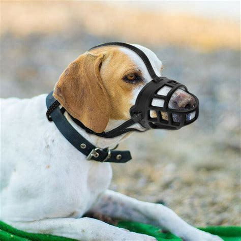 Basket Dog Muzzle For Biting Barking Adjustable Padded Soft Cage Muzzle