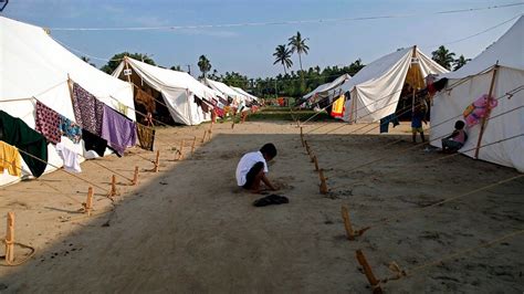 More Rohingya Villages Razed In Myanmar S Rakhine Hrw Sbs News