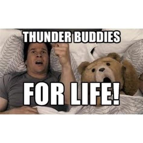 Thunder Buddies For Life Meme Sheba Dallas