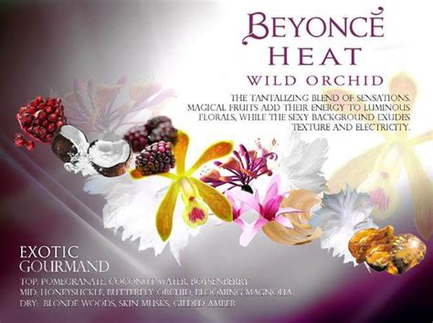 Heat Wild Orchid Beyonce Perfume A Fragrance For Women 2014