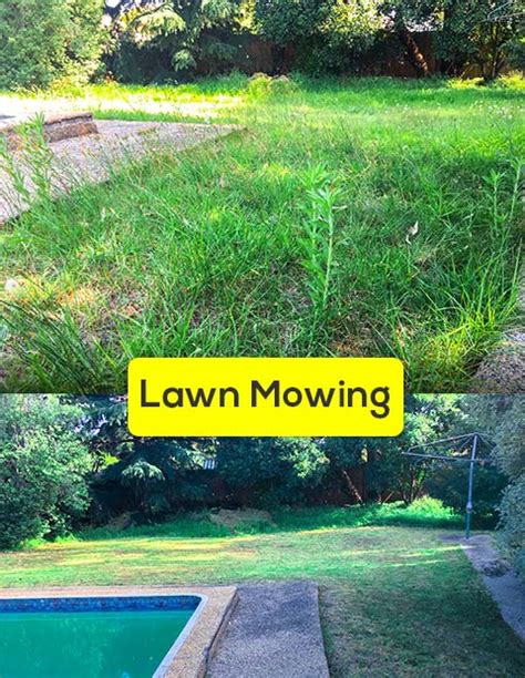 I'm under charging for my services. Lawn Mowing Service South Morang - Affordable Grass ...