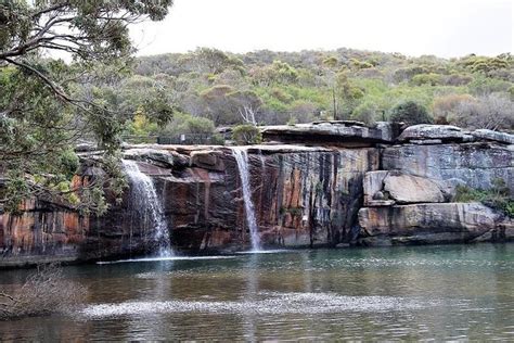 Tripadvisor Royal National Park Tour Provided By Sydney Nimble Tours