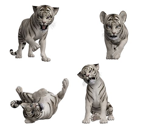 Tiger Cubs By Direwrath On Deviantart