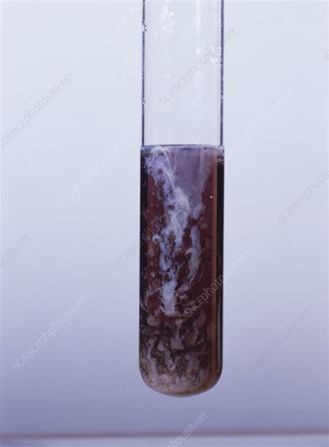 Chromium Hydroxide Precipitate Stock Image A5000416 Science