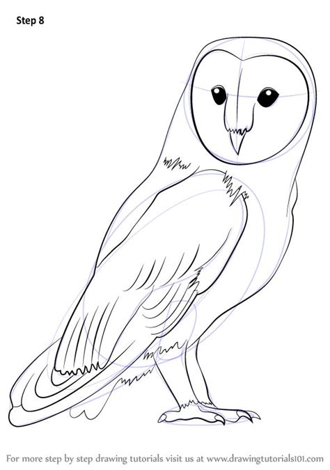 Step By Step How To Draw A Barn Owl Owls
