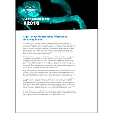 An2010 Light Sheet Fluorescence Microscopy For Living Plants Bruker