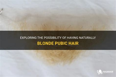 Exploring The Possibility Of Having Naturally Blonde Pubic Hair Shunhair