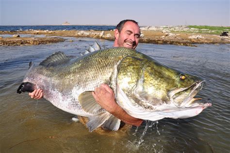 Nile Perch The Game Fishing Guide To African Fish