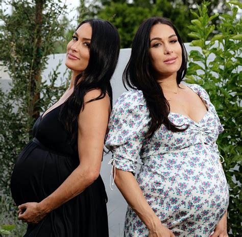 Pregnant Twins Nikki And Brie Bella 2 Nominealio