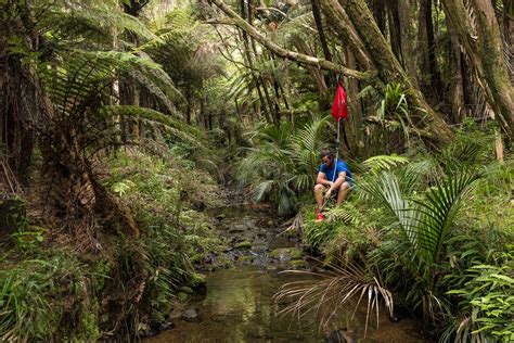 A Guide To Thru Hiking New Zealands Te Araroa Trail The Summit Register