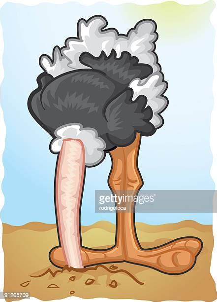 Ostrich Stock Illustrations And Cartoons Getty Images