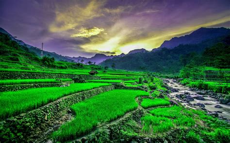 Gambar Pemandangan Gunung Dan Sawah Dekstop Wallpaper Fotogambar™