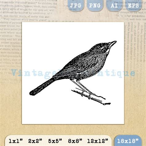 Nightingale Bird Graphic Digital Download By Vintageretroantique