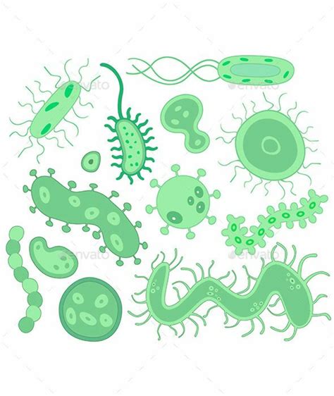 Download High Quality Bacteria Clipart Simple Transparent Png Images