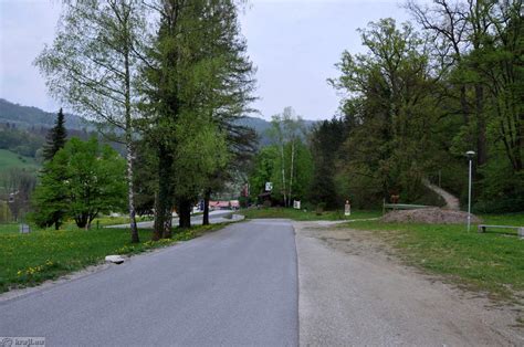 Sekvoje V Parku Rimskih Term Kraji Slovenija
