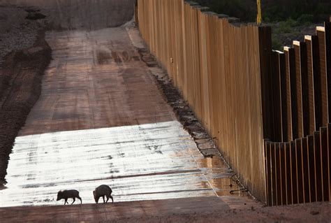 History Of Border Wall — Ay Mariposa Film