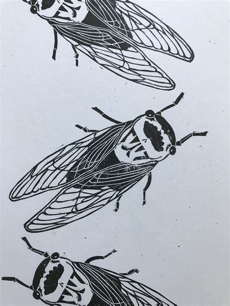 Cicadas Linocut Cicada Linoprint Australian Art Print Etsy