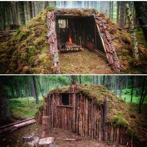 What Do You Think About This Woodland Shelter Would You Build