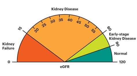 Estimated Glomerular Filtration Rate Egfr National Kidney Foundation