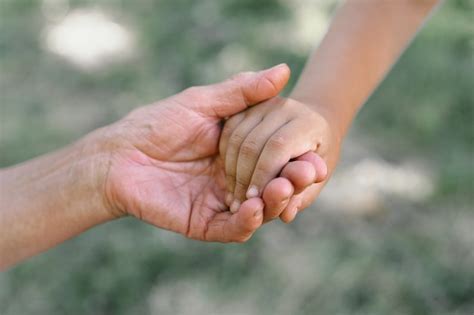 Premium Photo Childs Hand And Old Hand Grandmother Hold Heart