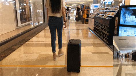 Ovis A Smart Luggage That Follows You